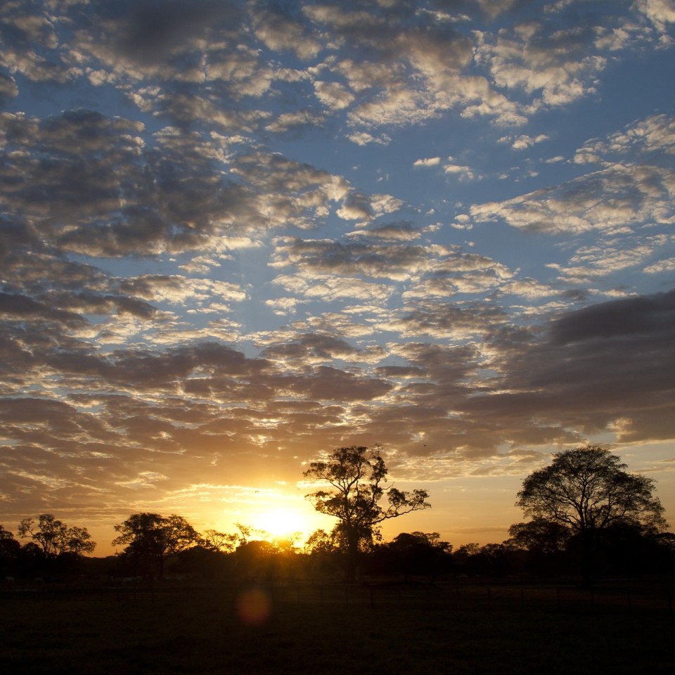 pantanal sonnenuntergang